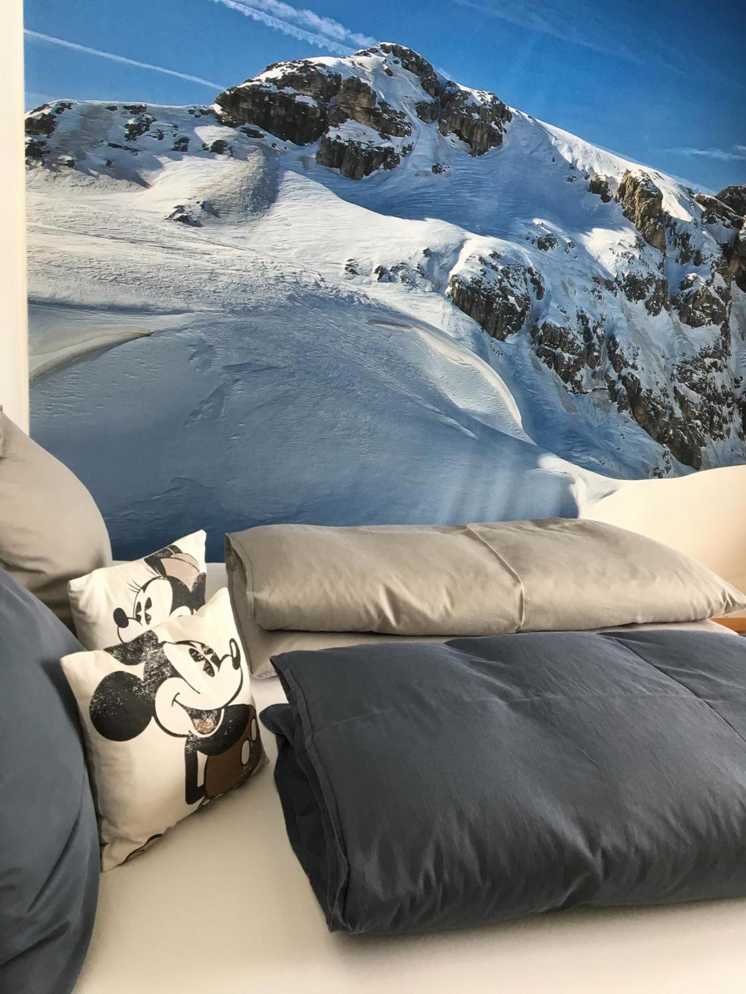 Alpin Appartement Reinhard Tritscher Ramsau am Dachstein Kültér fotó